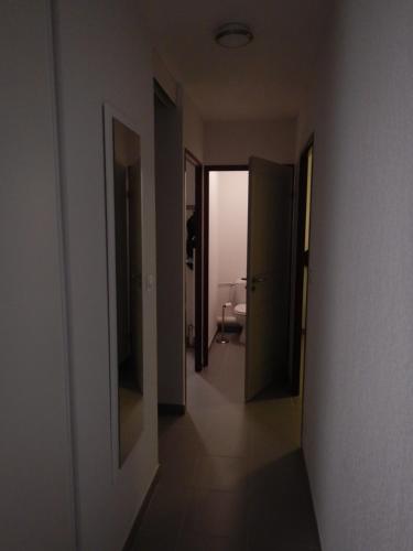 les pierres de la massane