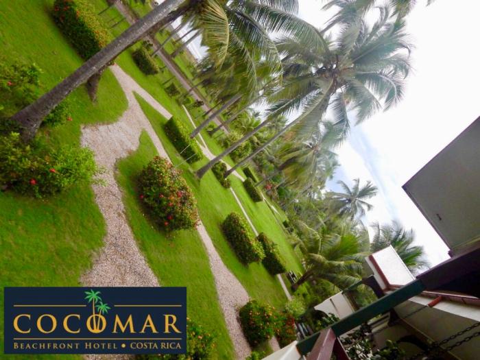 hotel cocomar beachfront hotel