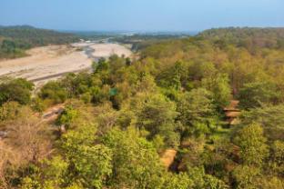 bijrani jungle cottages by cyj