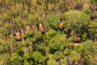bijrani jungle cottages by cyj