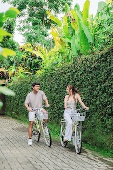 davaya villas ubud