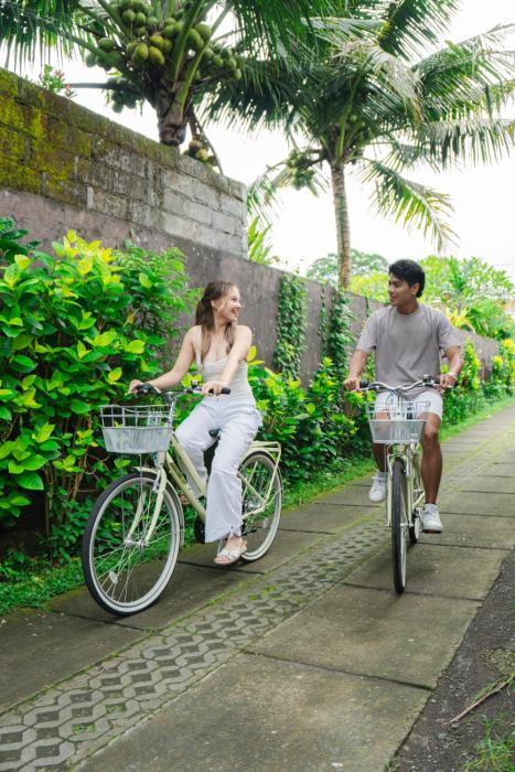 davaya villas ubud
