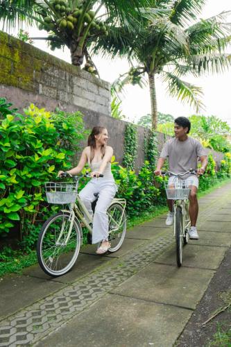 davaya villas ubud