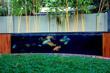 palm wave beach resort