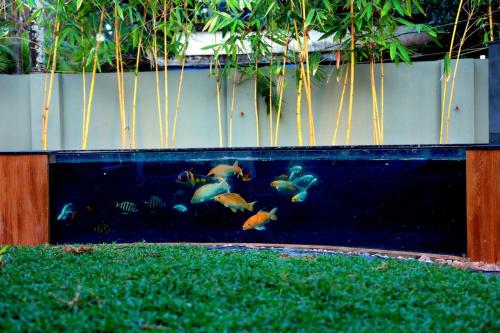 palm wave beach resort