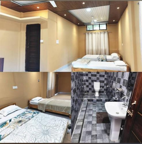 orchid guest house