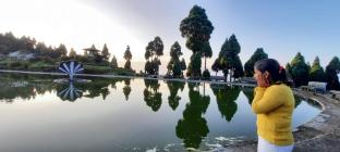 peaks and pines a boutique homestay near darjeeling