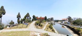 peaks and pines a boutique homestay near darjeeling