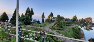peaks and pines a boutique homestay near darjeeling