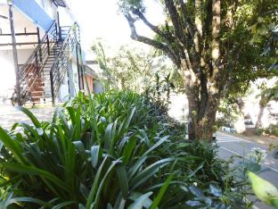 cloud crest homestay