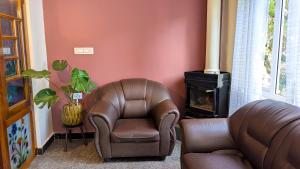 cloud crest homestay