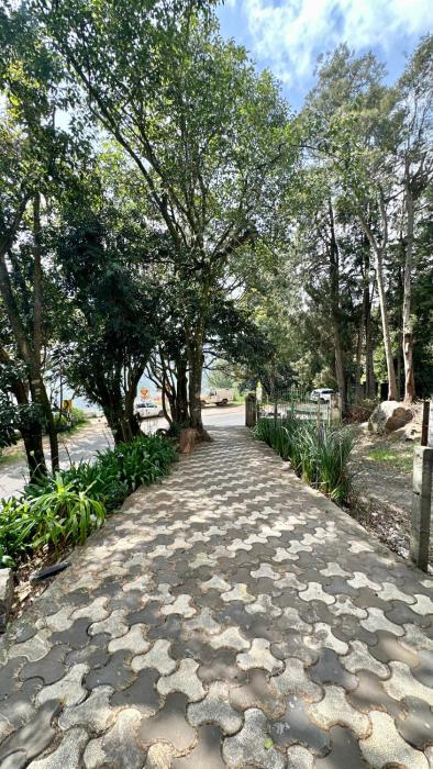 cloud crest homestay