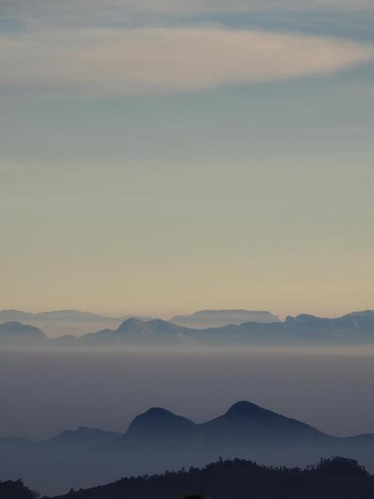 cloud crest homestay