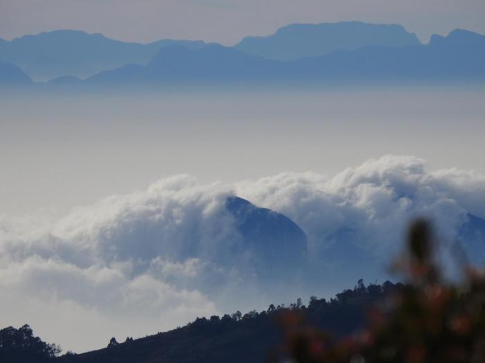 ooty