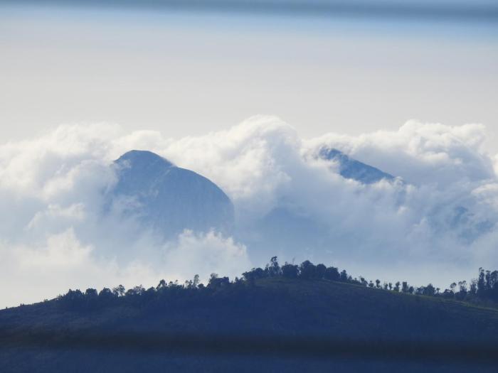cloud crest homestay