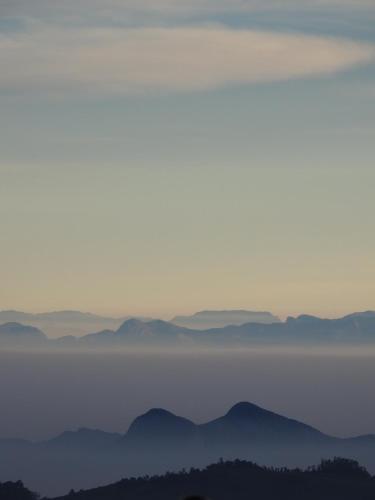 cloud crest homestay