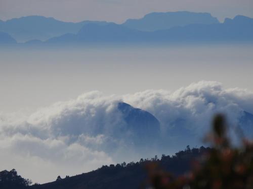 ooty