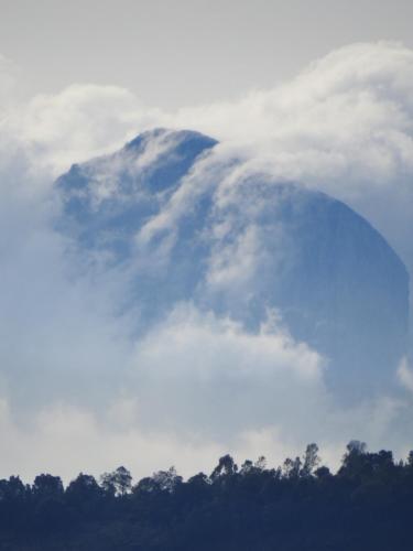 ooty