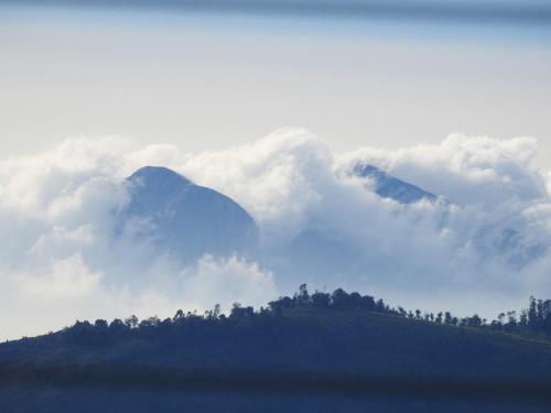 cloud crest homestay