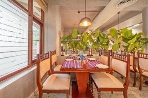 treebo new indraprastha
