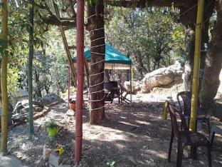 tri naddi camps dharamshala himachal pradesh