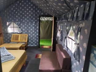 tri naddi camps dharamshala himachal pradesh