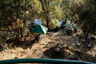tri naddi camps dharamshala himachal pradesh