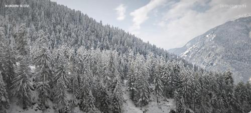 manali se