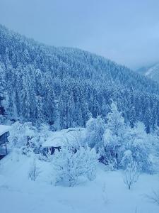 manali se