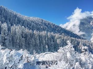 manali se