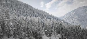 manali se