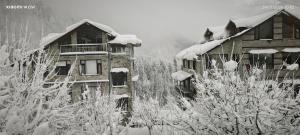manali se