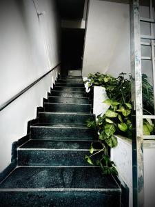 the sukoon house