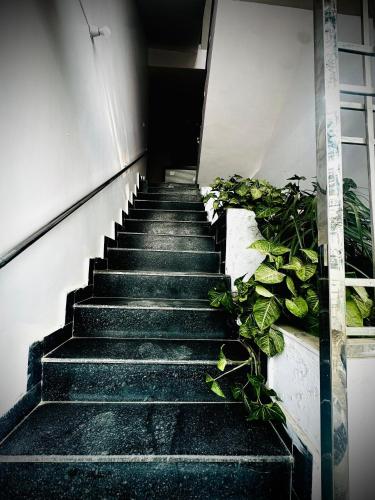 the sukoon house