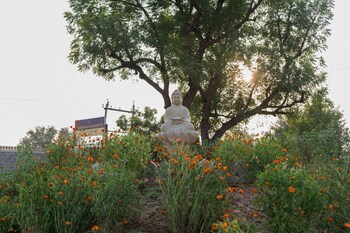 vardhan resorts