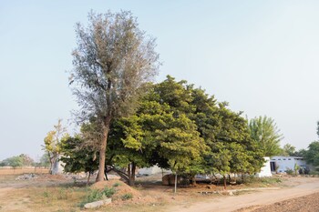 vardhan resorts