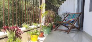 peace abode vista