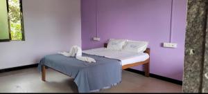 paradise beach home stay