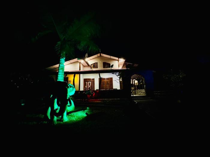 stone carving resort