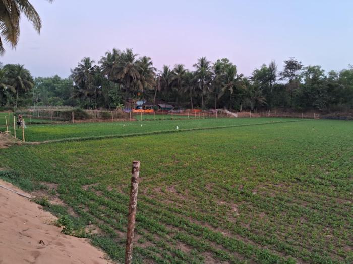 tent life gokarna