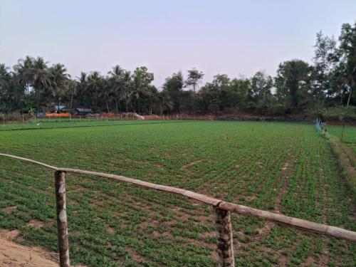 Tent Life Gokarna,,2 star