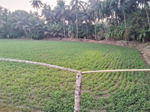 tent life gokarna