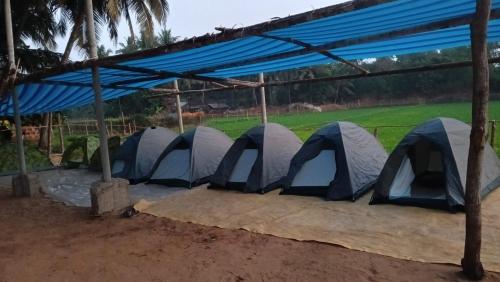tent life gokarna