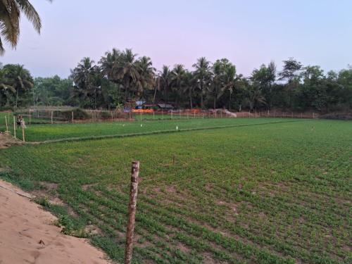 tent life gokarna