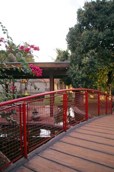 carpe diem park hotel