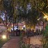 carpe diem park hotel