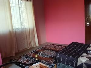 sinsha homestay