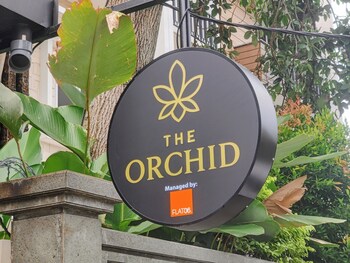 the orchid by flat06