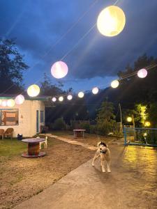 Tree House Munsyari ,,5 star