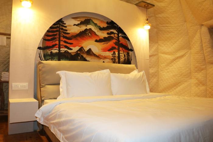 the zukhara a luxury glamping dome resort in narkanda